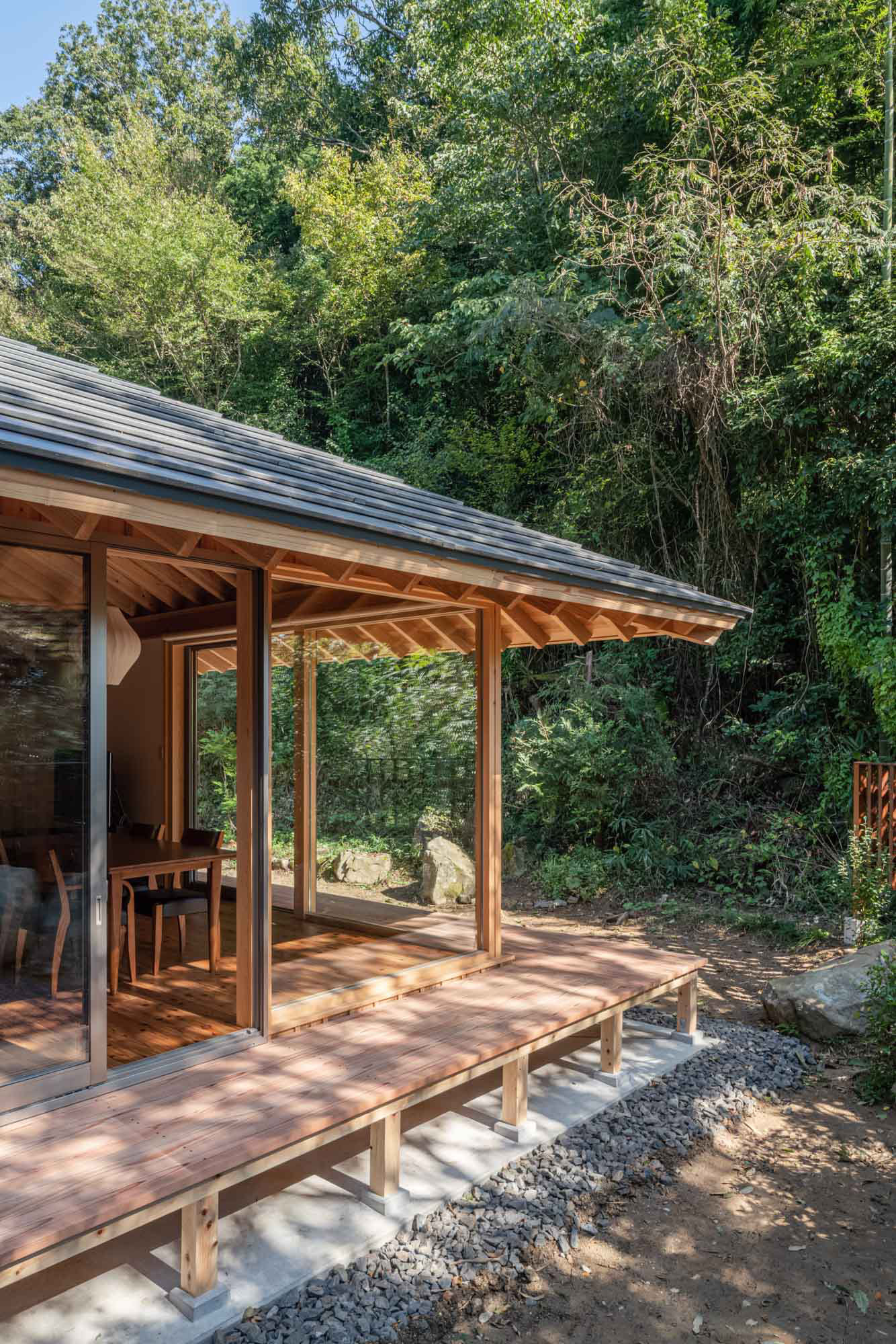 Dwelling with Forest Small houses with large roofs that respond to the shape of the forest.